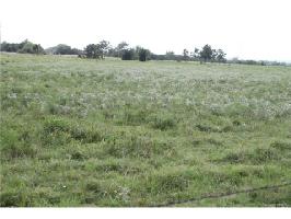 S 4110 Road