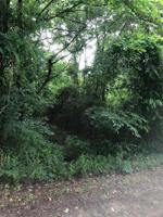 Mariner Drive