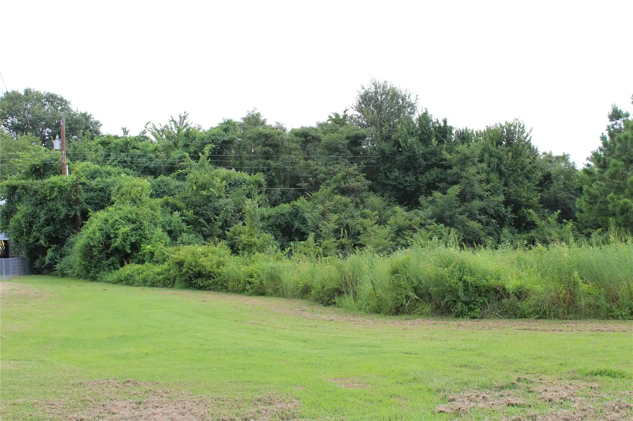 Image 1: Expansive green lawn with a dense tree line in the
