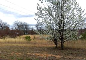 0 E Horseshoe Bend Road
