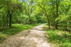 001 Oakridge Drive