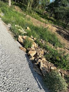 Shay Road