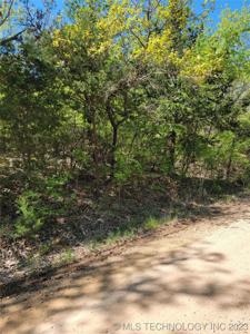 Ranch Trail Drive