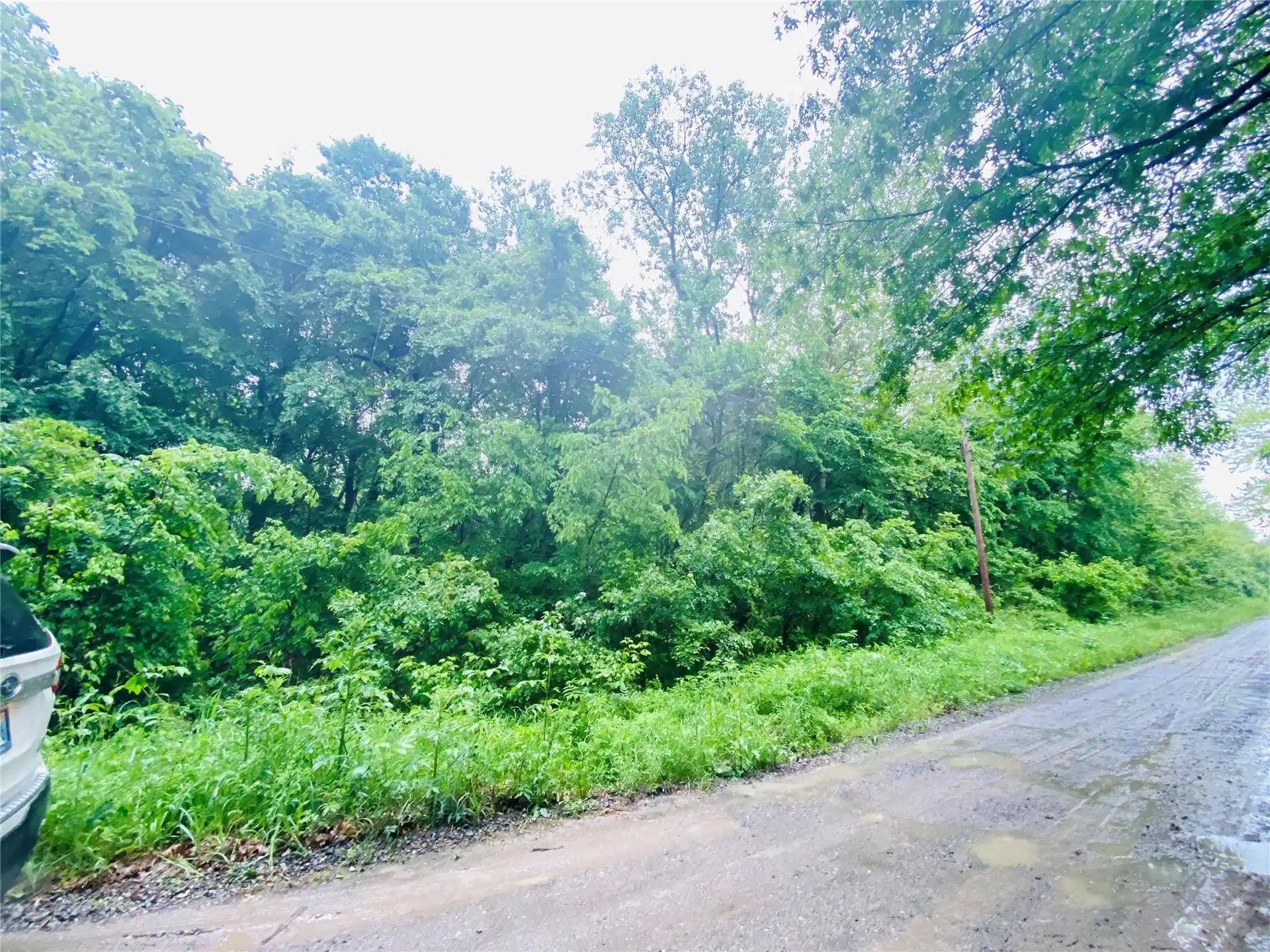 Image 1: Wooded parcel featuring mature trees and lush unde