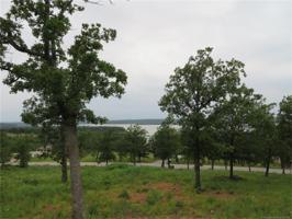 Shoreline Drive