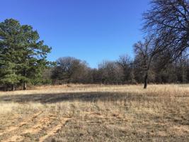 Comanche Road