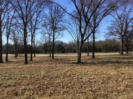 Comanche Road
