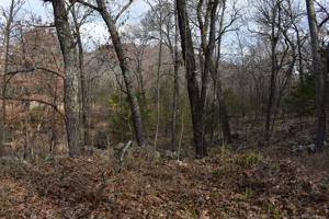 Stone Hollow Lane
