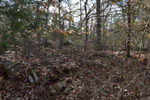 Stone Hollow Lane
