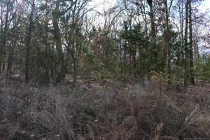 Stone Hollow Lane