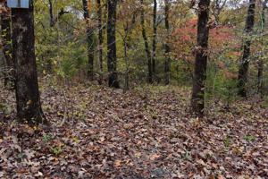 Dogwood Circle