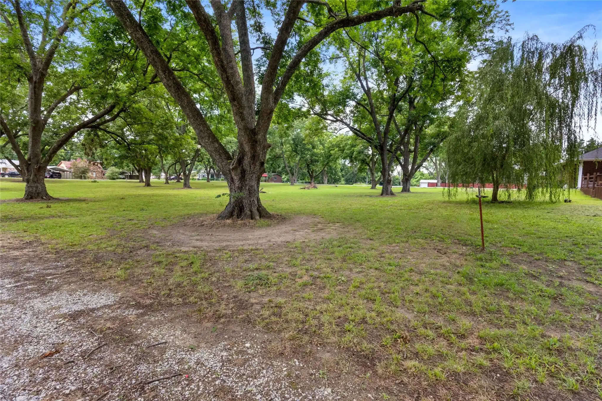 Image 1: Expansive verdant lawn featuring numerous mature t