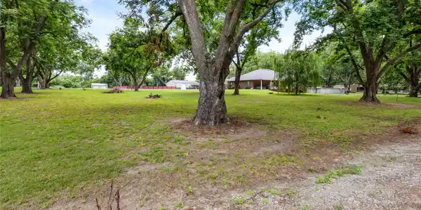 Image 2: Expansive green space featuring numerous mature tr