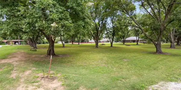 Image 4: Expansive green lawn with mature shade trees
