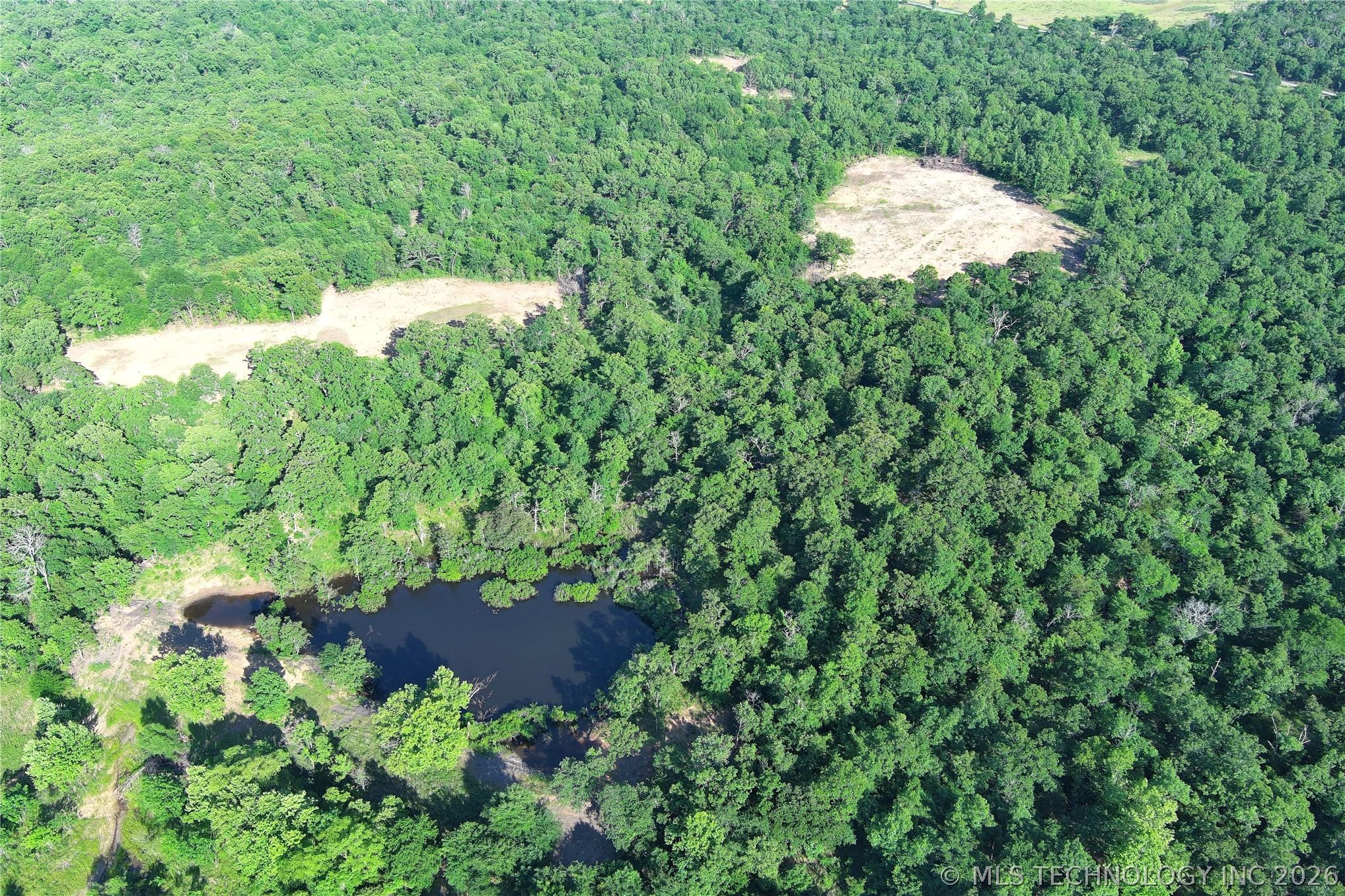 Image 3: Expansive wooded acreage featuring a natural pond
