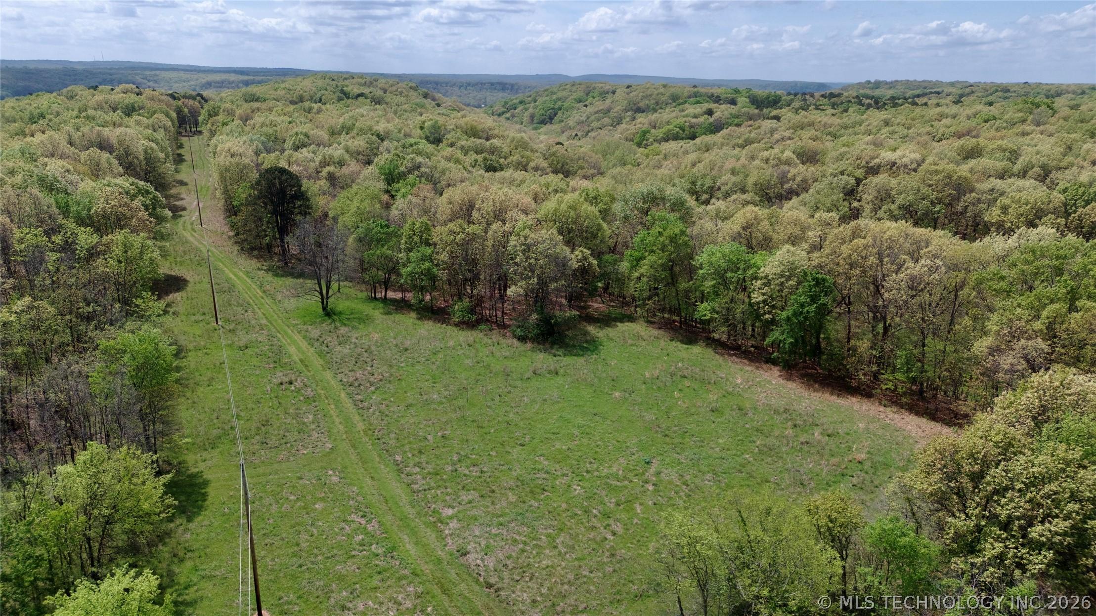 Image 4: Aerial View of Meadow Area