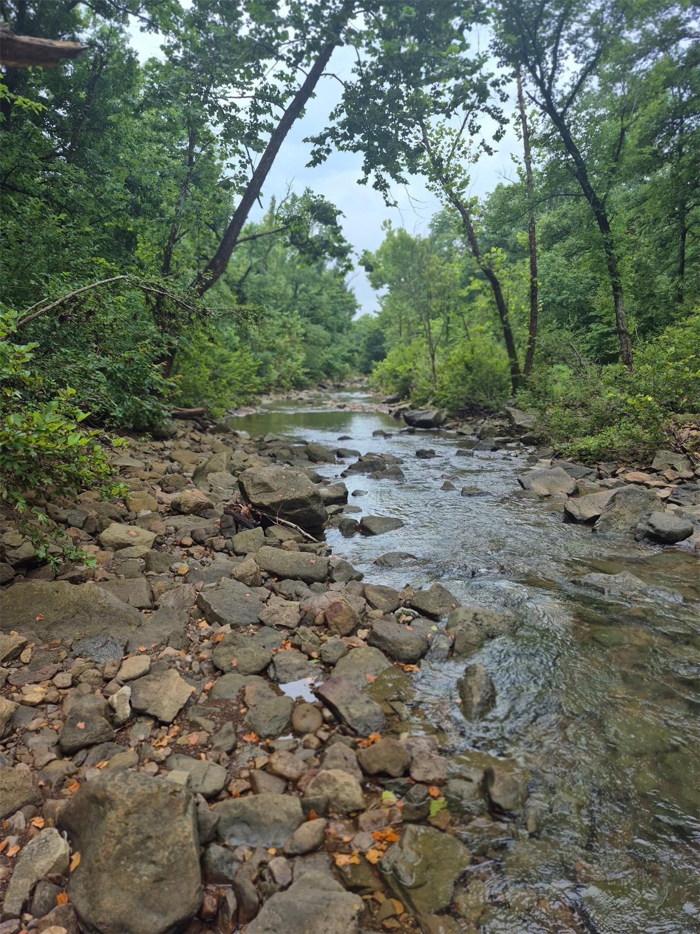 Image 2: Natural creek with clear flowing water