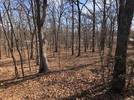 Texoma Park Road