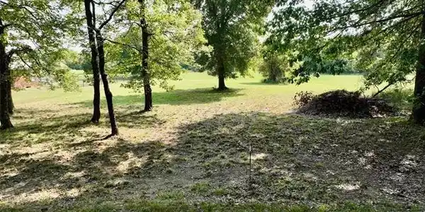 Image 2: Lot