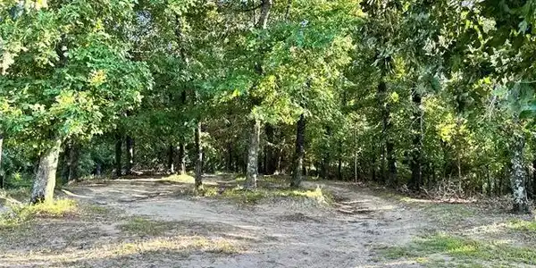 Image 4: Path to lake