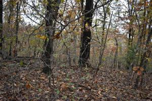 Red Oak Ridge Drive
