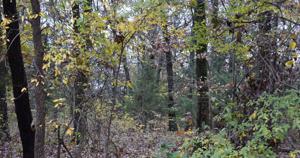 Red Oak Ridge Drive