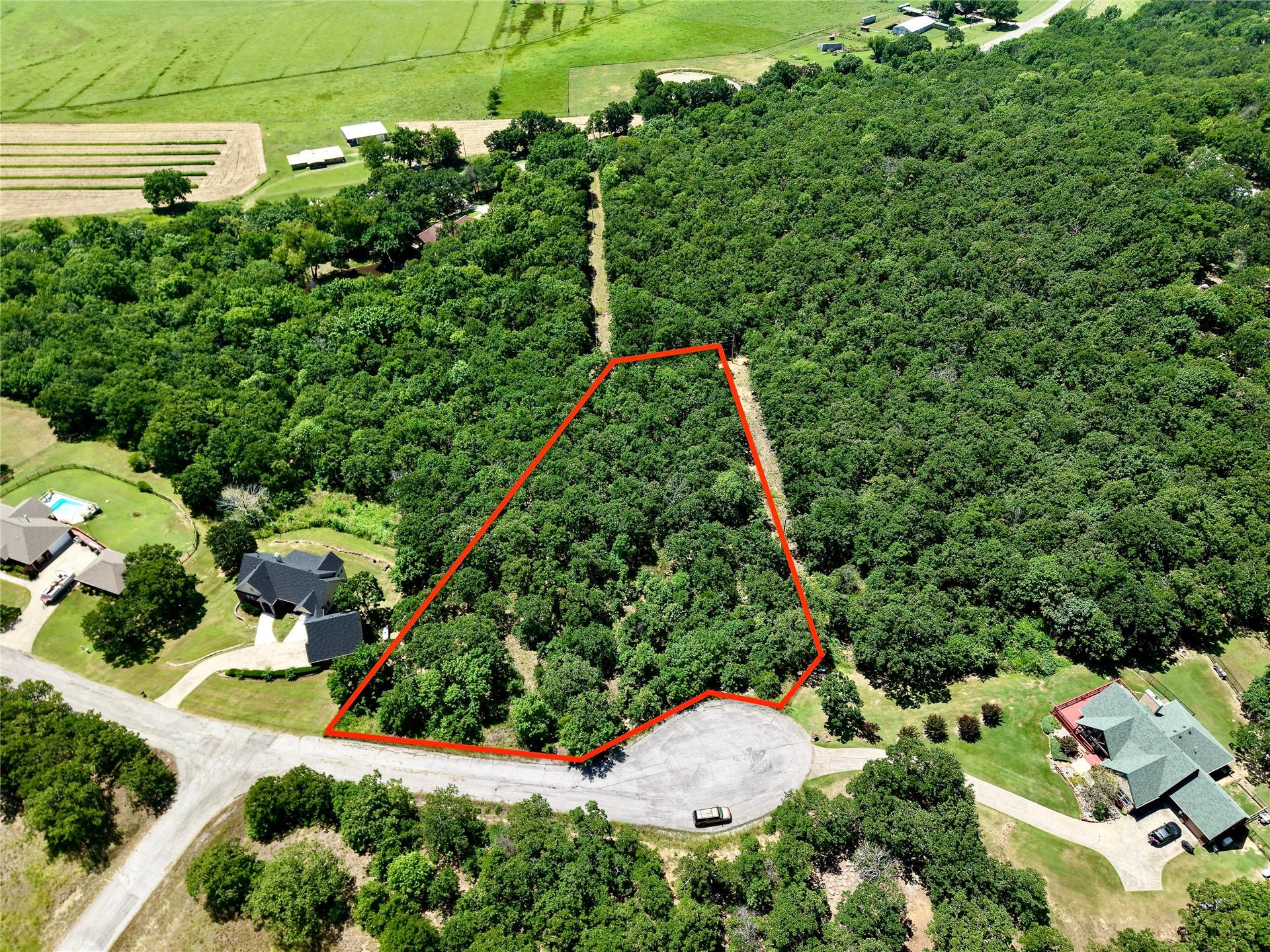 Image 4: Wooded lot with mature tree coverage