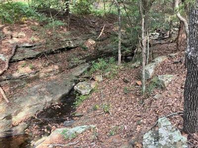 10 S Big Hollow Road