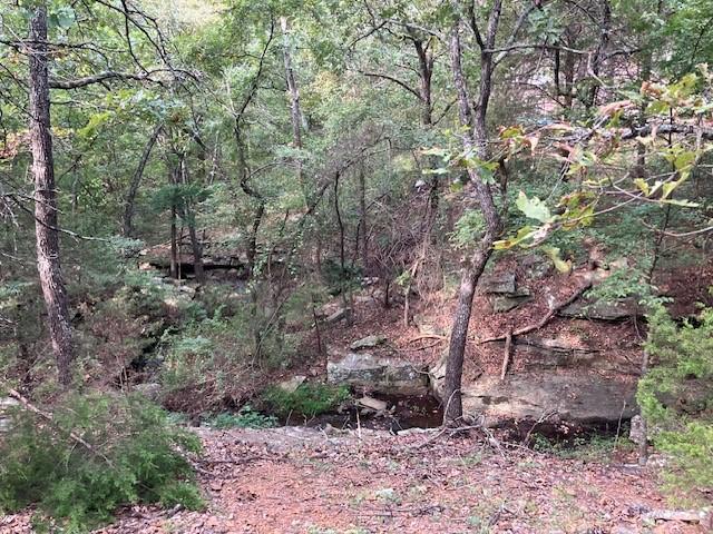 Image 2: Wooded landscape featuring mature trees and expose