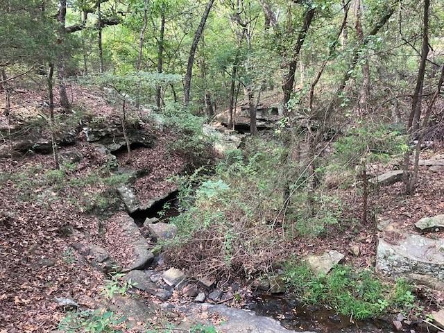 Image 3: Wooded acreage featuring mature hardwood trees, na