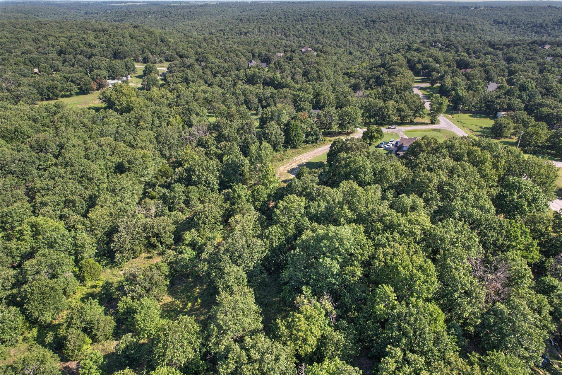 Image 4: Expansive wooded landscape featuring mature trees