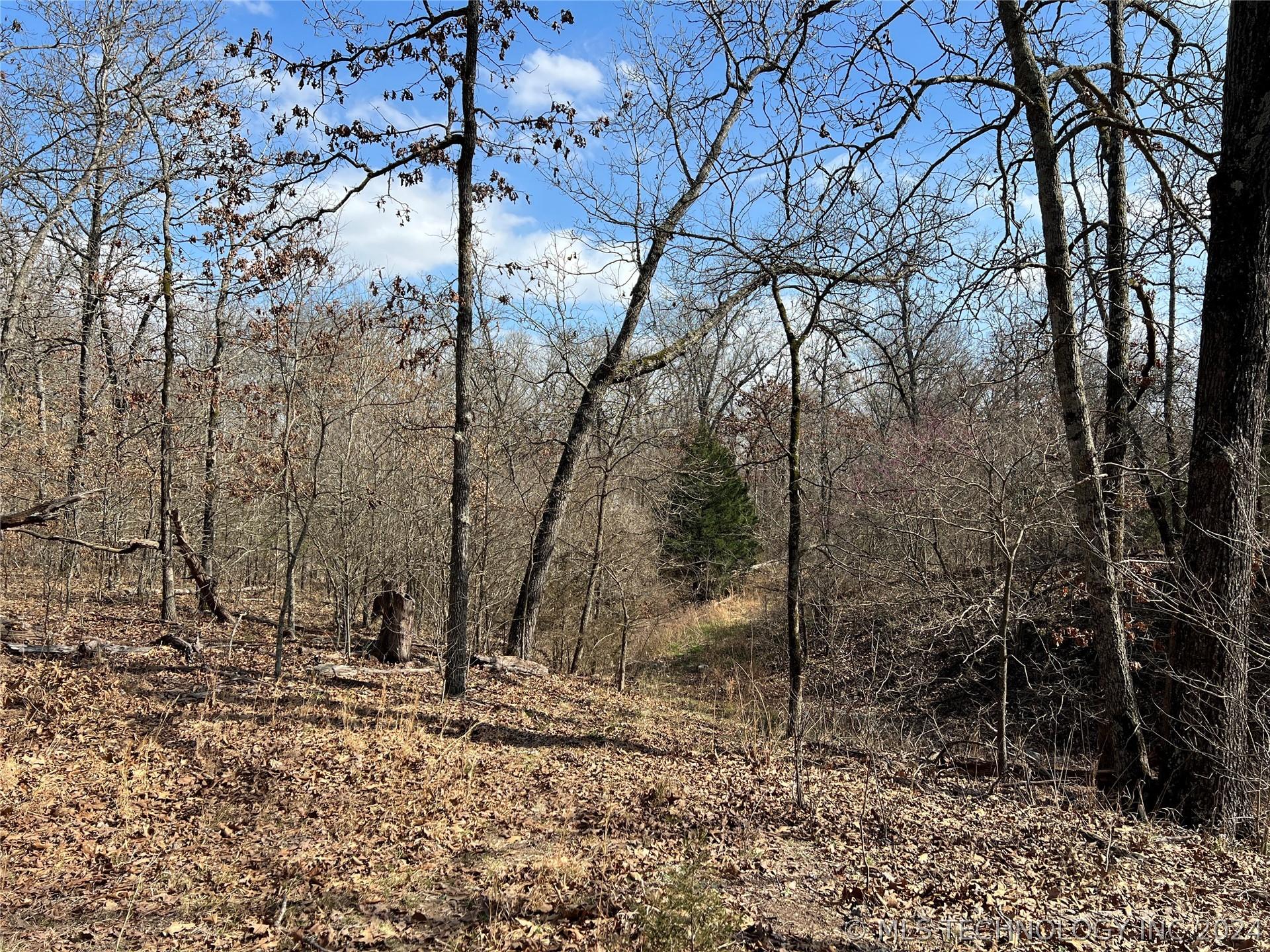 S 560 Road, Welling, OK lhrmls02069716