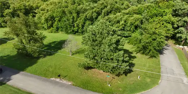 Image 3: Expansive green lot featuring a mix of mature and