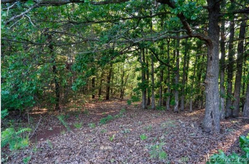 Image 2: Heavily Wooded