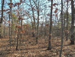 W Sugar Hollow Road