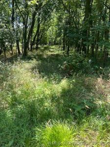 65 Lakeside Ridge N