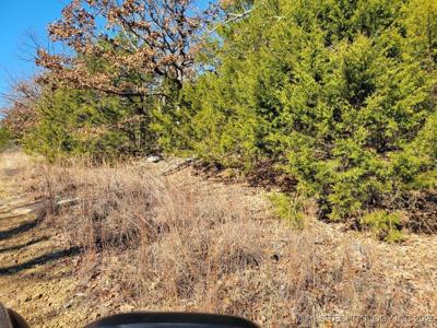 Deer Trail Drive