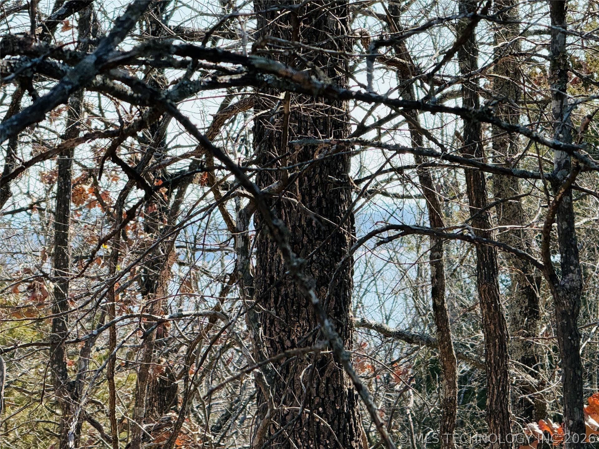 Image 1: You can see the lake from up here yall!