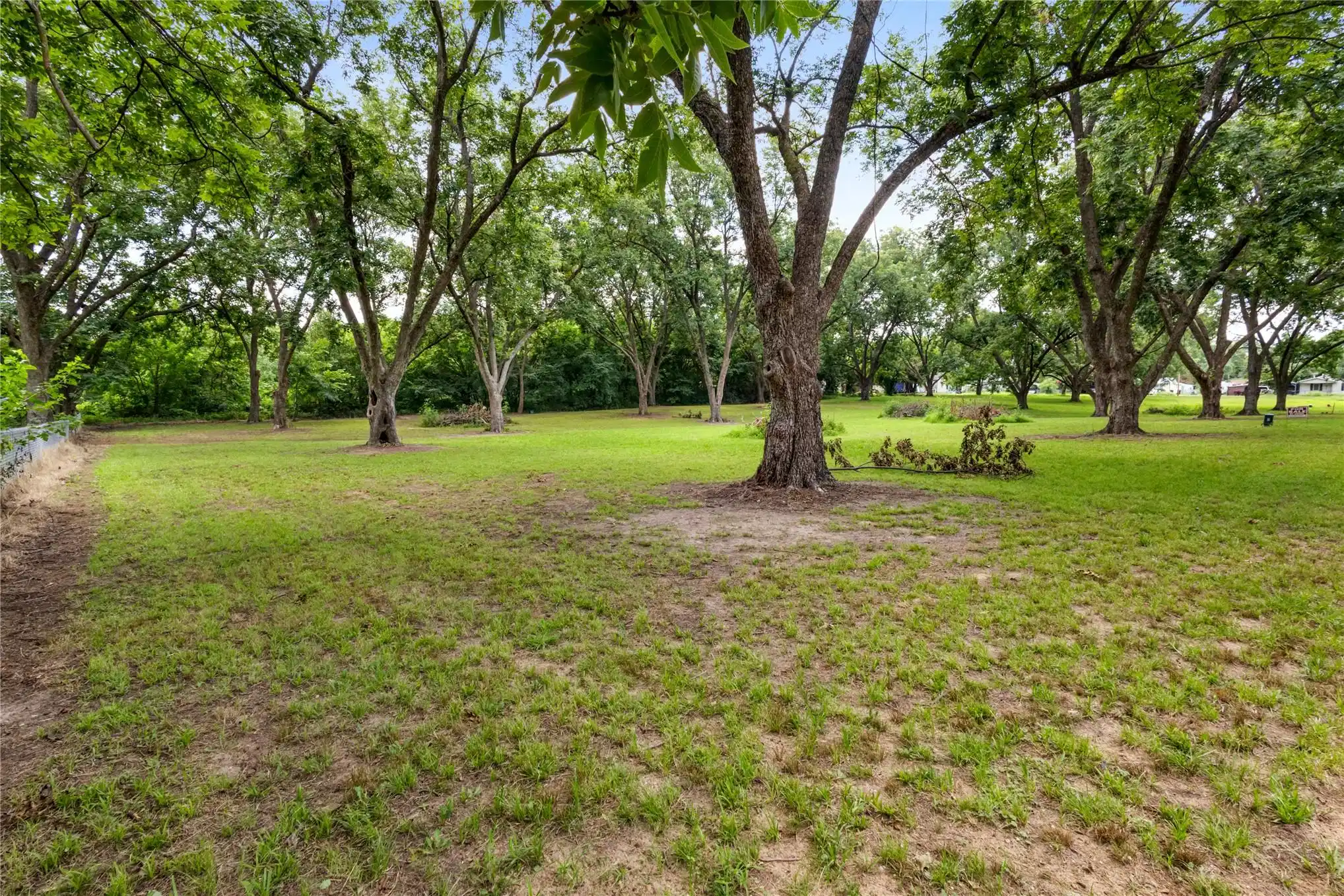 Image 1: Expansive green space featuring numerous mature de