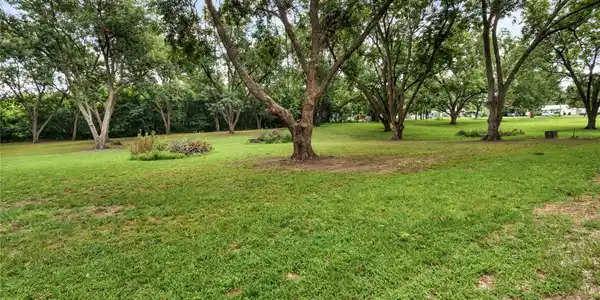 Image 3: Expansive green lawn featuring mature trees