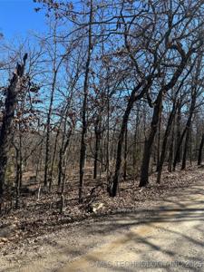 1 S Terrapin Creek Road