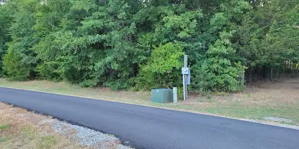 Hummingbird Lane