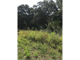 SCR 4490 Road