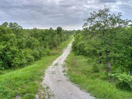 Forest Drive