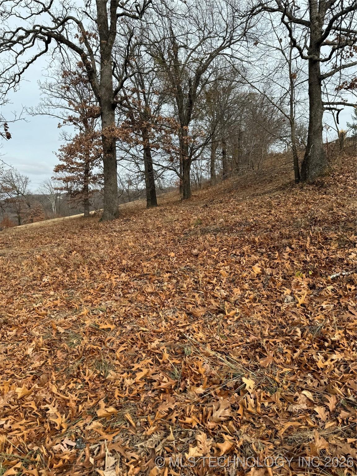 Image 3: Gradual sloping Lot with Lake view.