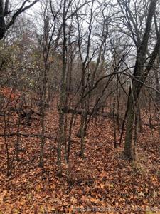 Maplebrook Lane