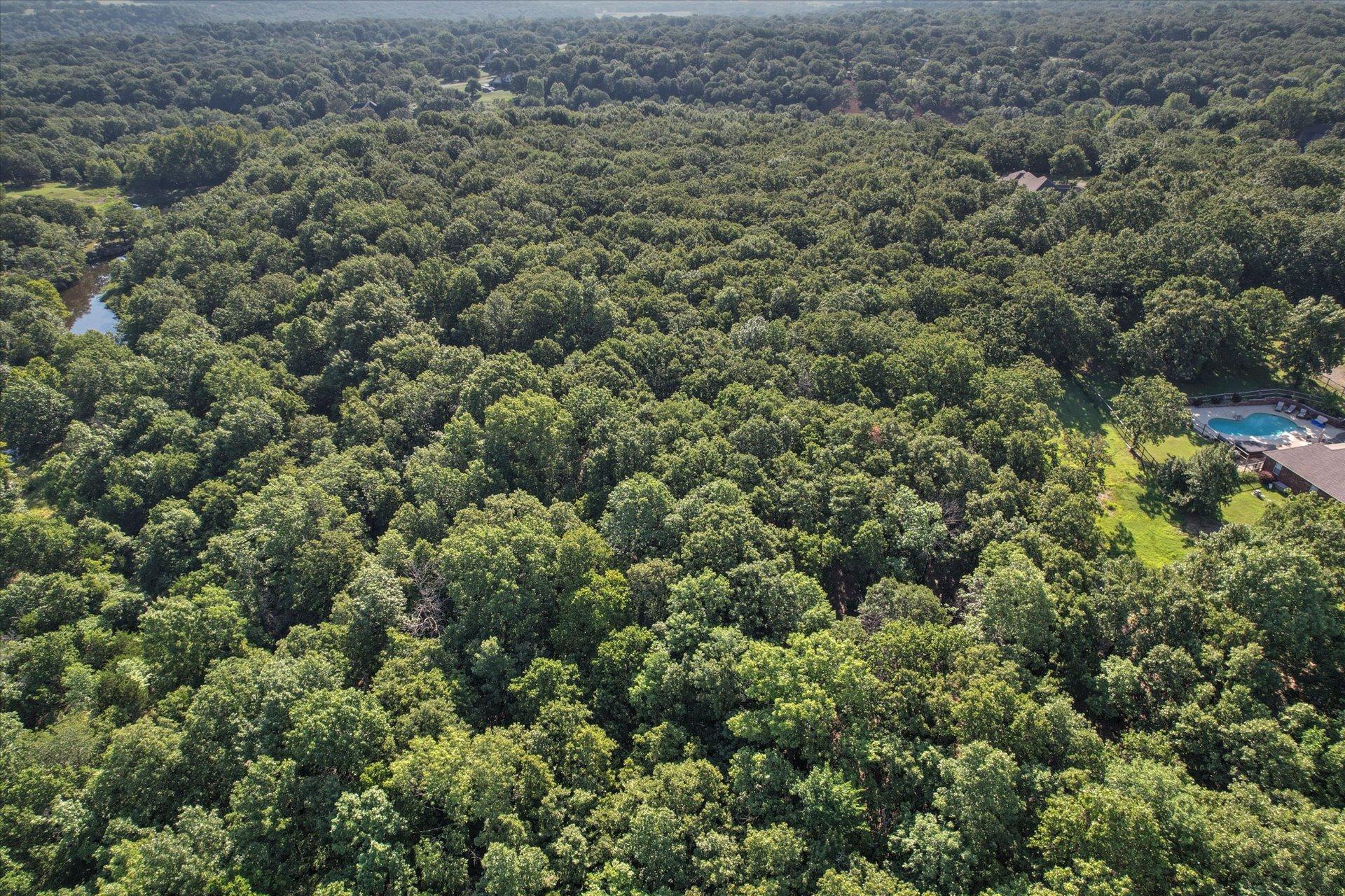 Image 3: Expansive treed landscape featuring a natural wate
