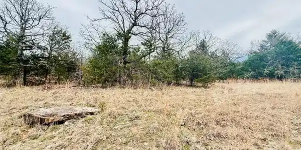 0 Dozer Mountain