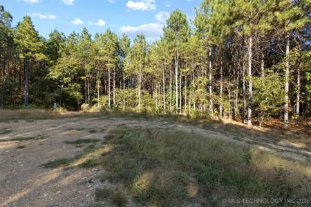 134 Wolf Tree Trail