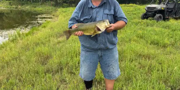 Image 3: this pond is well stocked several 4-5# bass have b